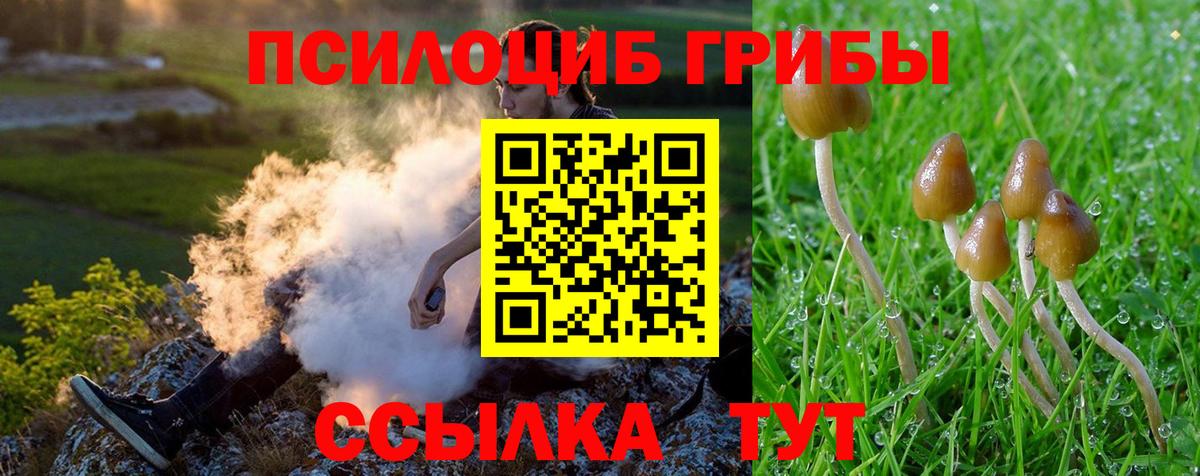 Псилоцибиновые грибы Psilocybine cubensis  Вход с VPN  Псилоцибиновые грибы мухоморы  Тольятти 