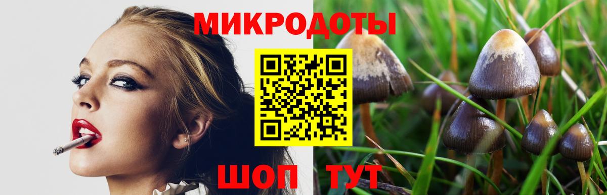 Галлюциногенные грибы GOLDEN TEACHER Тольятти